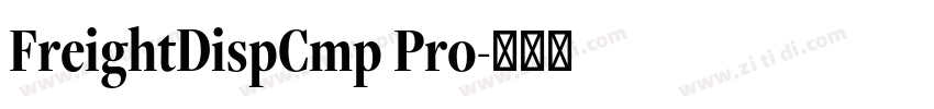 FreightDispCmp Pro字体转换
